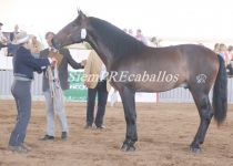 W MISTERIO VG, DE Y. VILLAGELY, BRONCE EN POTROS DE TRES A